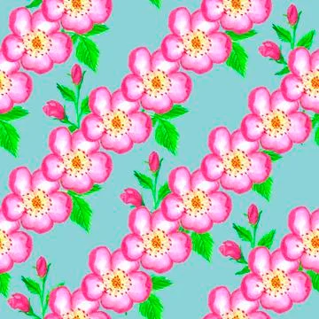 Pattern pink rose hips. Roses seamless pattern. Watercolor. Stock Illustration
