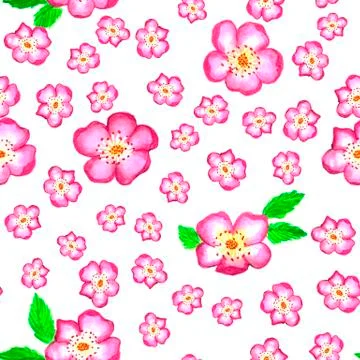 Pattern pink rose hips. Roses seamless pattern. Watercolor. Stock Illustration
