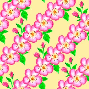 Pattern pink rose hips. Roses seamless pattern. Watercolor. Stock Illustration