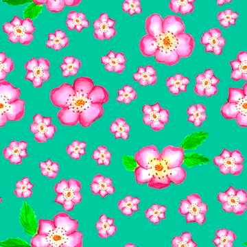 Pattern pink rose hips. Roses seamless pattern. Watercolor. Stock Illustration