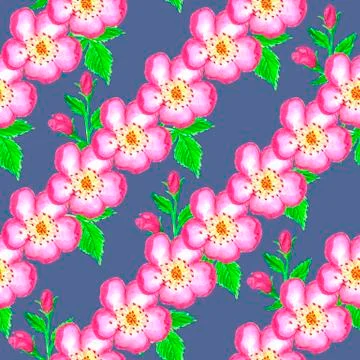 Pattern pink rose hips. Roses seamless pattern. Watercolor. Stock Illustration