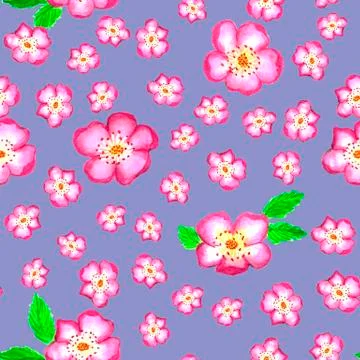 Pattern pink rose hips. Roses seamless pattern. Watercolor. Stock Illustration