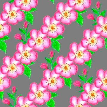 Pattern pink rose hips. Roses seamless pattern. Watercolor. Stock Illustration