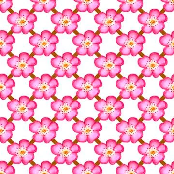 Pattern pink rose hips. Roses seamless pattern. Watercolor. Stock Illustration