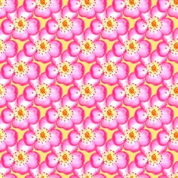 Pattern pink rose hips. Roses seamless pattern. Watercolor. Stock Photos