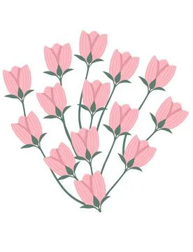 Pattern of pink tulips spring flowers vector illustration on white background Stock Illustration