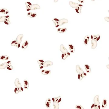 Pattern pinto bean seeds for cooking and healthy eating Stock Illustration