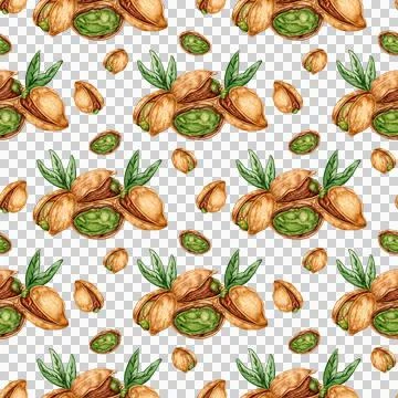 Pattern pistachio nuts watercolor Stock Illustration