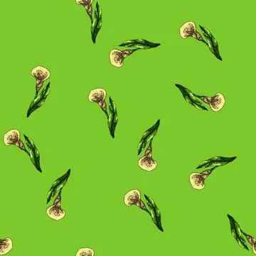 Pattern plant calla lily sketch hand drawn イラスト素材
