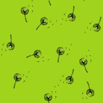 Pattern plant dandelion sketch hand drawn Stock Illustration