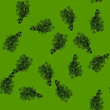 Pattern plant dill sketch hand drawn Stock Illustration