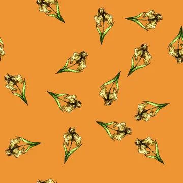 Pattern plant iris sketch hand drawn 스톡 일러스트