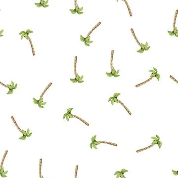 Pattern plant palm coconut cartoon vector Stock Illustration