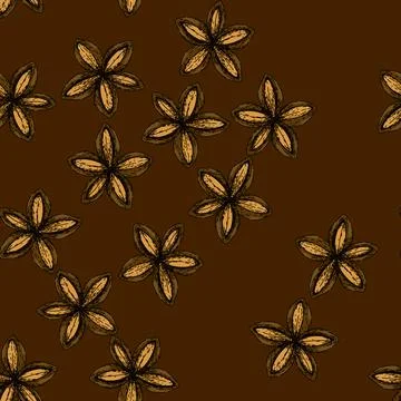 Pattern plant sacha inchi sketch hand drawn Stock Illustration