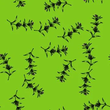 Pattern plant savory sketch hand drawn Stock Illustration