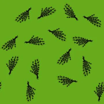 Pattern plant thyme leaf sketch hand drawn Stock Illustration