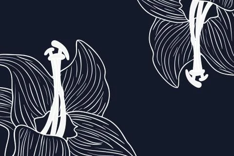 Pattern plants and herbs isolated icon Stock Illustration