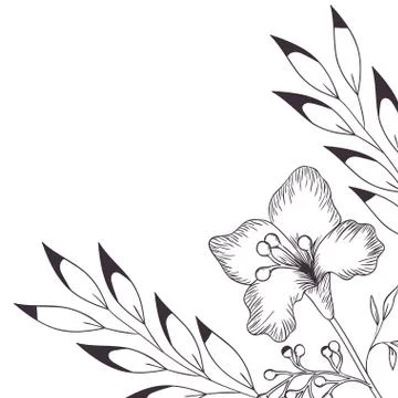 Pattern plants and herbs isolated icon 스톡 일러스트