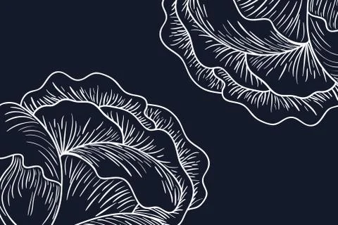 Pattern plants and herbs isolated icon Stock Illustration