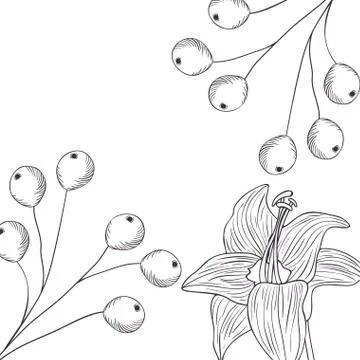 Pattern plants and herbs isolated icon Stock Illustration