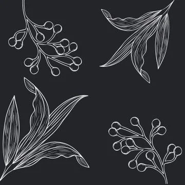 Pattern plants and herbs isolated icon Stock Illustration