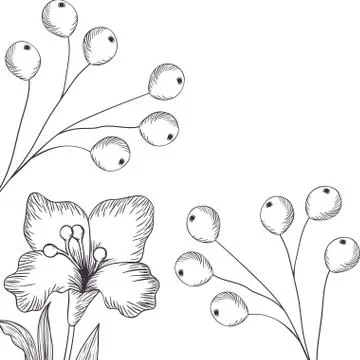 Pattern plants and herbs isolated icon Stock Illustration