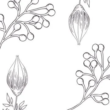 Pattern plants and herbs isolated icon 스톡 일러스트