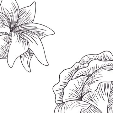 Pattern plants and herbs isolated icon Stock Illustration
