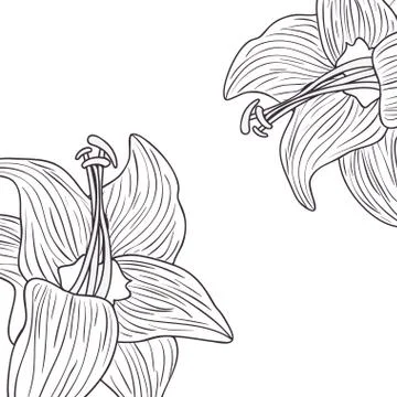 Pattern plants and herbs isolated icon Stock Illustration