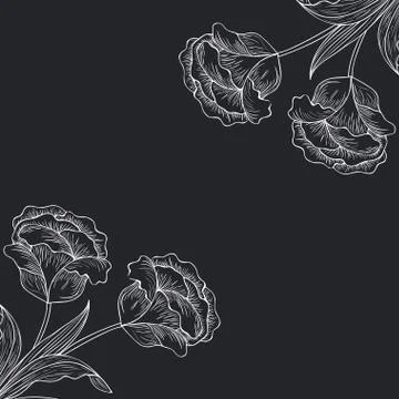 Pattern plants and herbs isolated icon Illustrazione stock