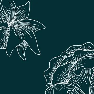Pattern plants and herbs isolated icon 스톡 일러스트
