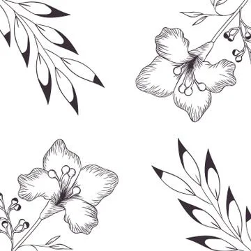 Pattern plants and herbs isolated icon Stock Illustration