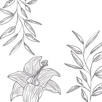 Pattern plants and herbs isolated icon Stock Illustration