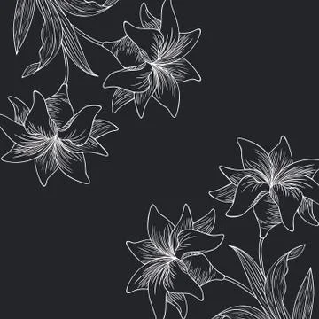 Pattern plants and herbs isolated icon Stock Illustration
