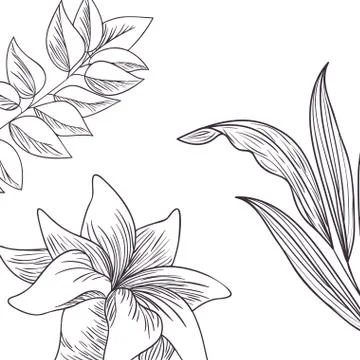 Pattern plants and herbs isolated icon 스톡 일러스트