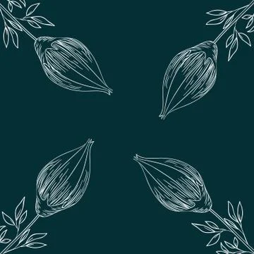 Pattern plants and herbs isolated icon Illustrazione stock