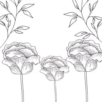 Pattern plants and herbs isolated icon 스톡 일러스트
