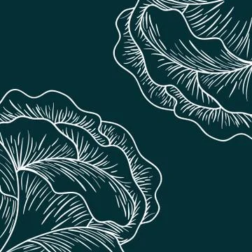 Pattern plants and herbs isolated icon Stock Illustration