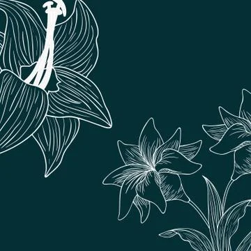 Pattern plants and herbs isolated icon Stock Illustration