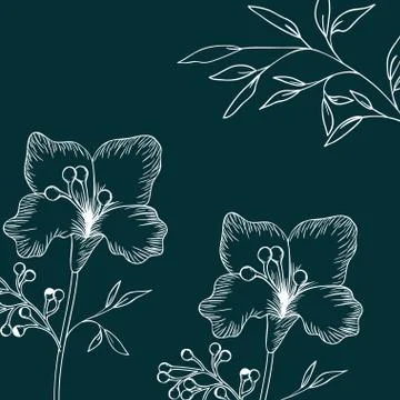 Pattern plants and herbs isolated icon Stock Illustration