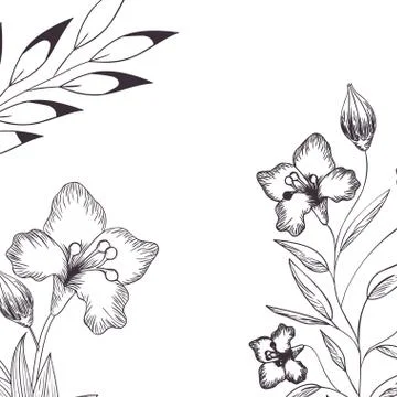 Pattern plants and herbs isolated icon Stock Illustration