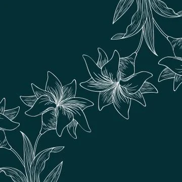 Pattern plants and herbs isolated icon Stock Illustration