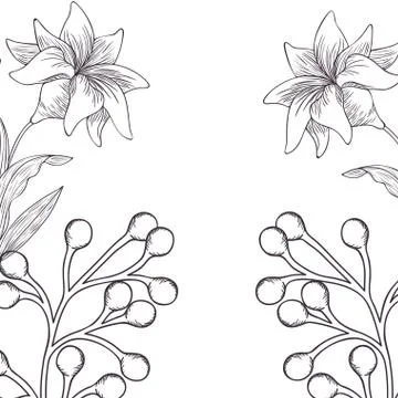 Pattern plants and herbs isolated icon Stock Illustration