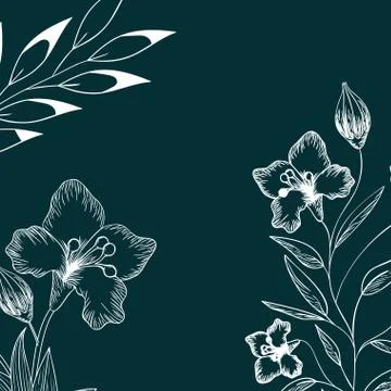 Pattern plants and herbs isolated icon Illustrazione stock