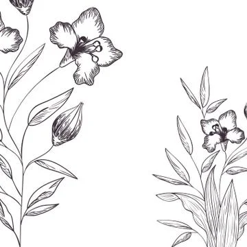 Pattern plants and herbs isolated icon Stock Illustration