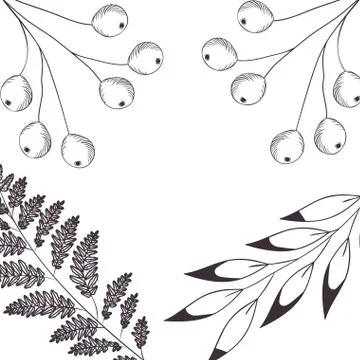 Pattern plants and herbs isolated icon Stock Illustration