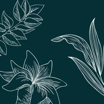 Pattern plants and herbs isolated icon Stock Illustration