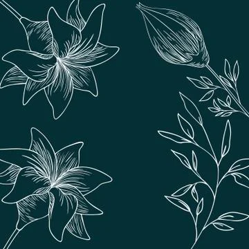 Pattern plants and herbs isolated icon Stock Illustration