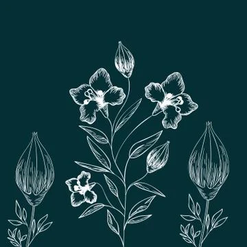 Pattern plants and herbs isolated icon イラスト素材