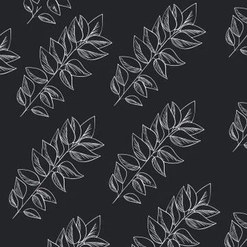 Pattern plants and herbs isolated icon Stock Illustration